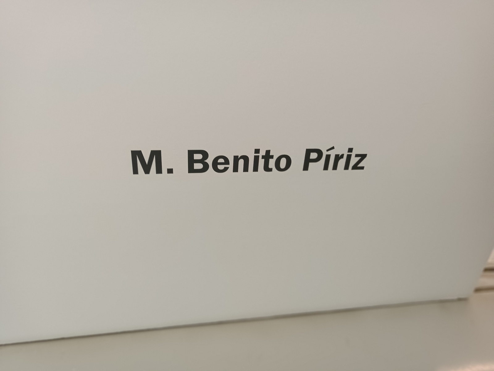EXPO-M.-Benito-Piriz7